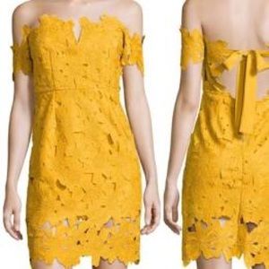 FEW MODA Allison yellow floral lace dress size xs